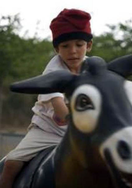 EL BURRO CATALÀ MECÀNIC
